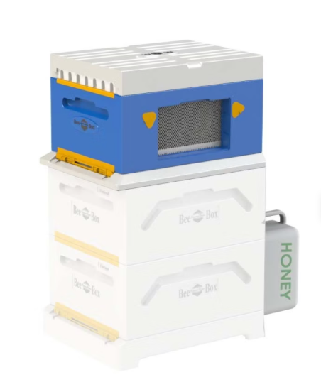 Beebox Smart Set for expanding the Paradise Honey hive