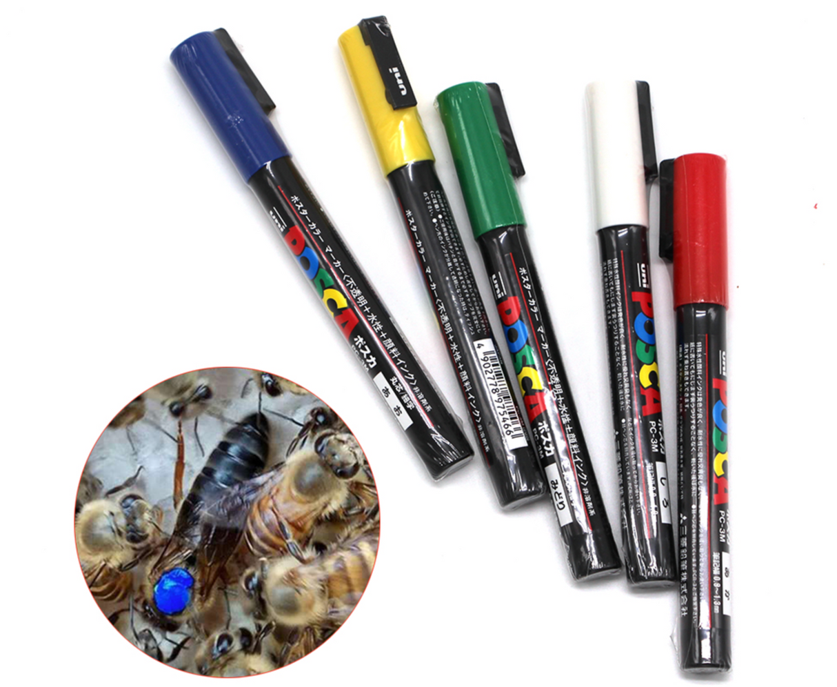 Queen Marking Pen Posca White Yellow Red Green Blue for permanently marking queens with annual color