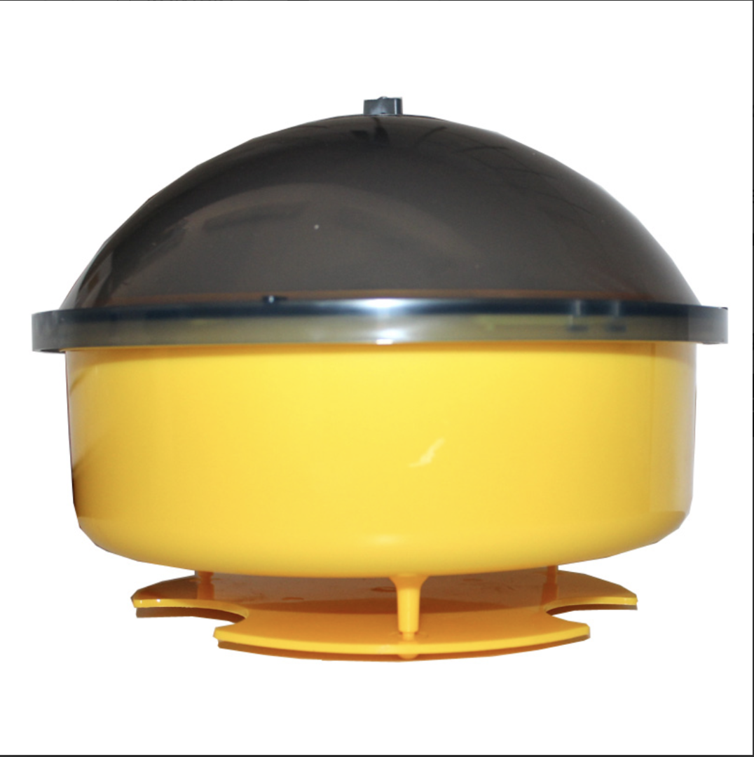 Wasp trap glass, large wasp trap, insect trap