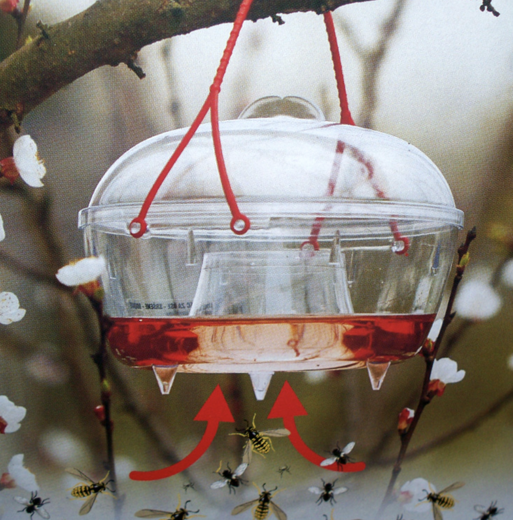 Wasp trap glass, large wasp trap, insect trap