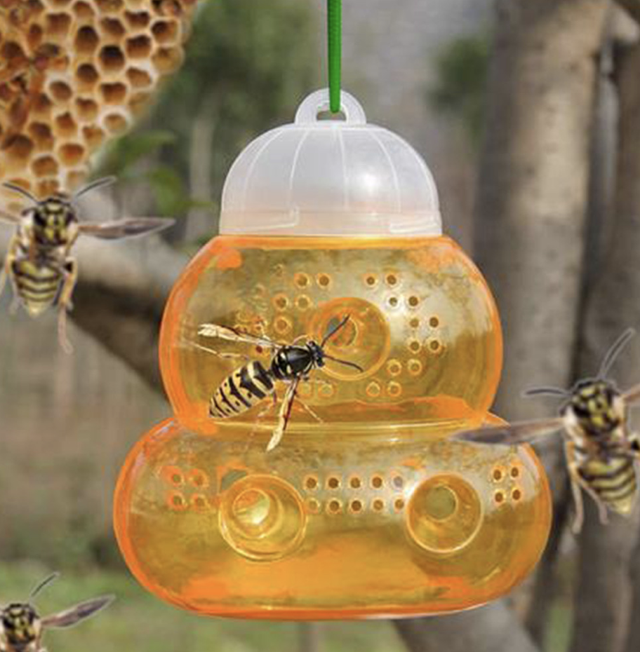 Wespenval glas, wespenval, geel