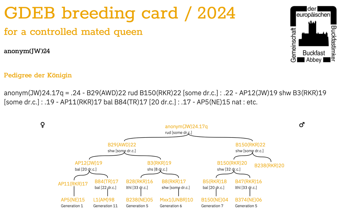 Buckfast Queen Mated F0 2025 Eilandparingsplaats Ruden