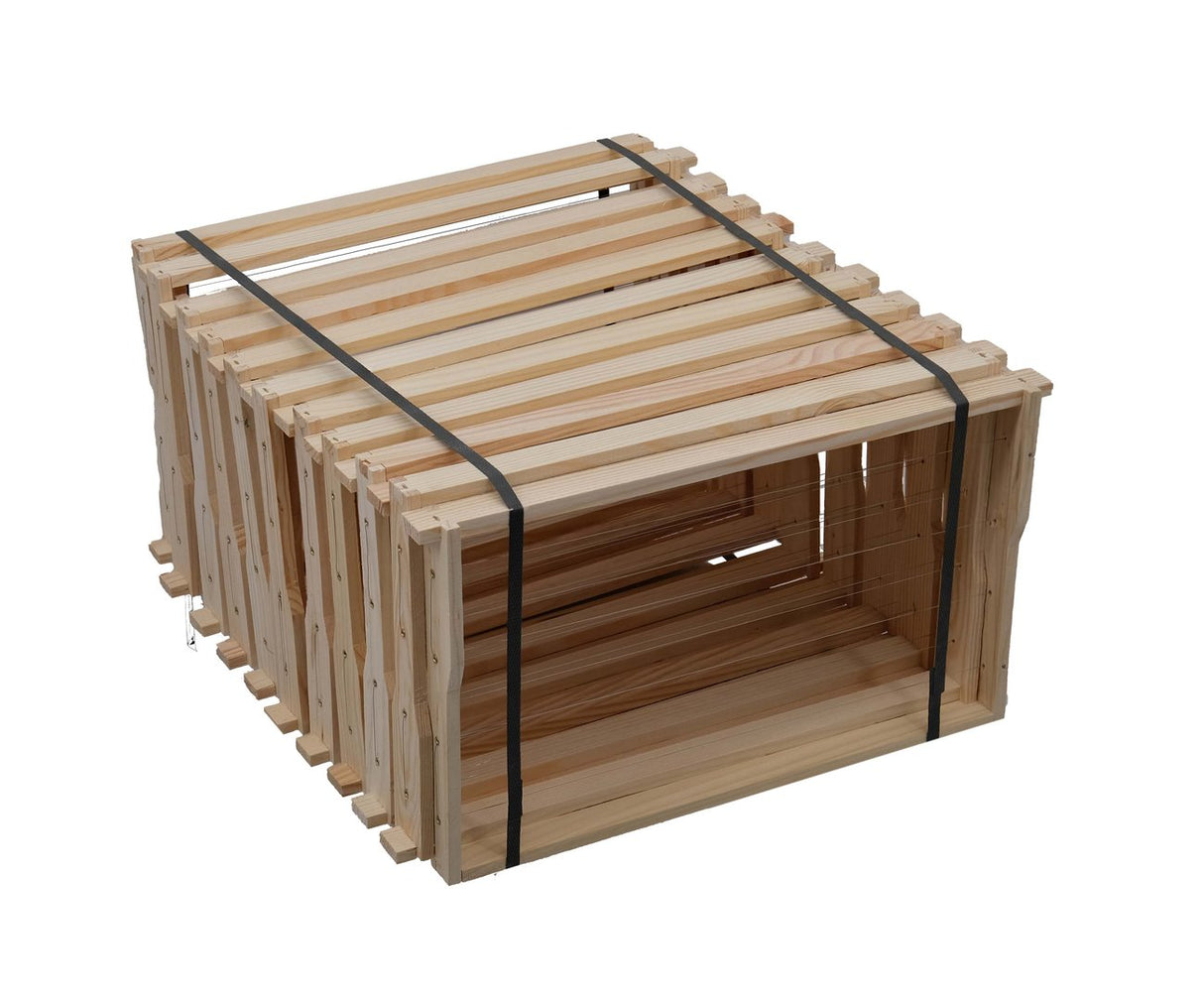 DNM Hoffmann frame, horizontally wired, German Normal Segeberger