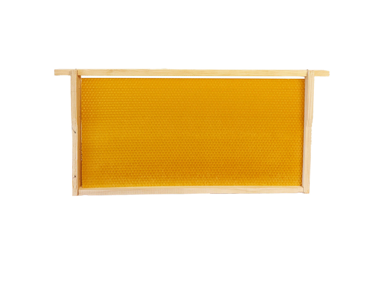 Parois centrales moulées à partir de cire d'abeille pure analysée, sans maladies et sans pesticides