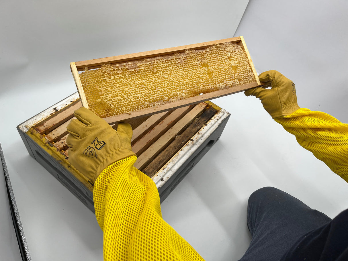 Gants d'apiculteur jaunes avec maille en peau de chèvre extra douce
