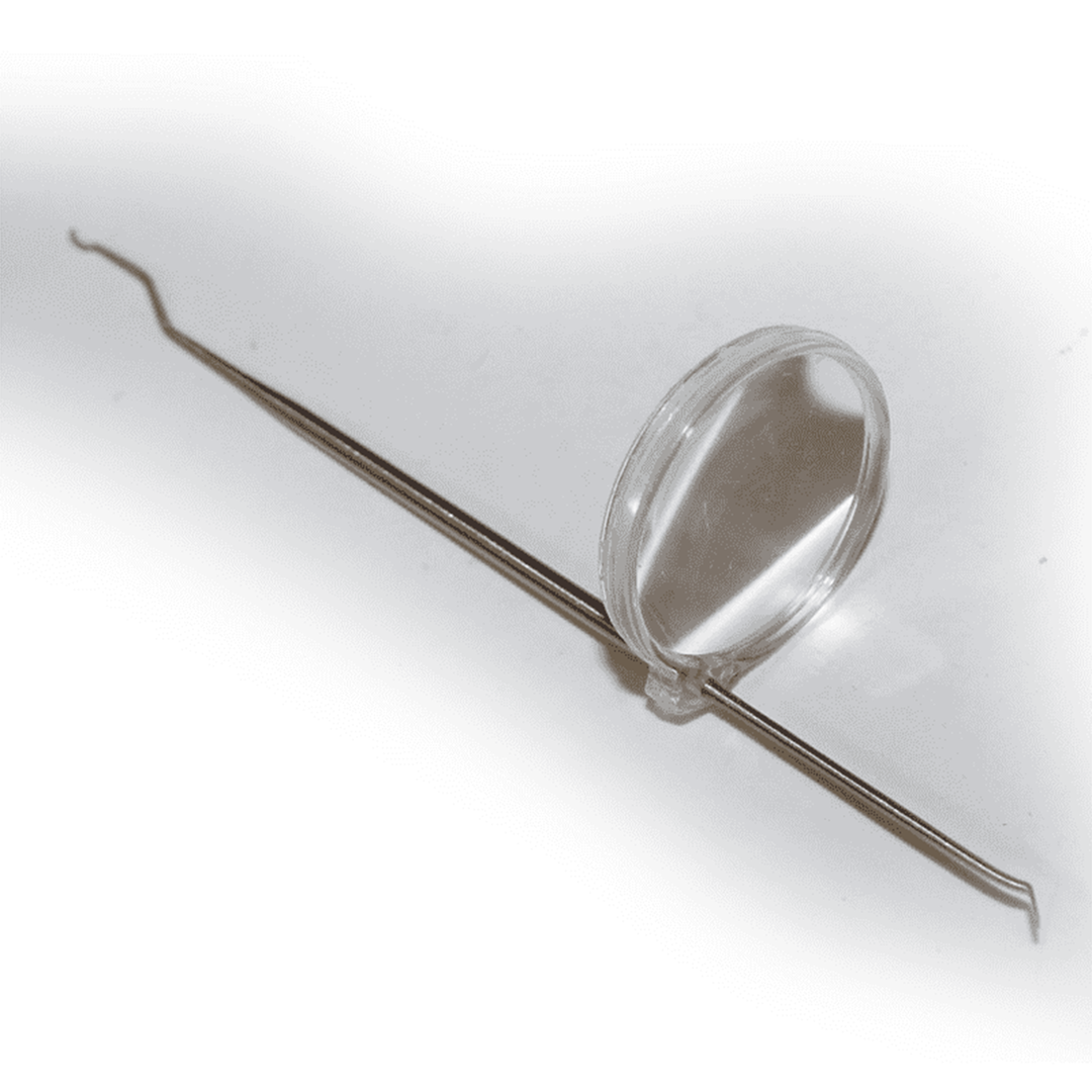 Double-sided grafting needle with removable magnifying glass, stainless steel, queen bee grafting tool, grafting spoon