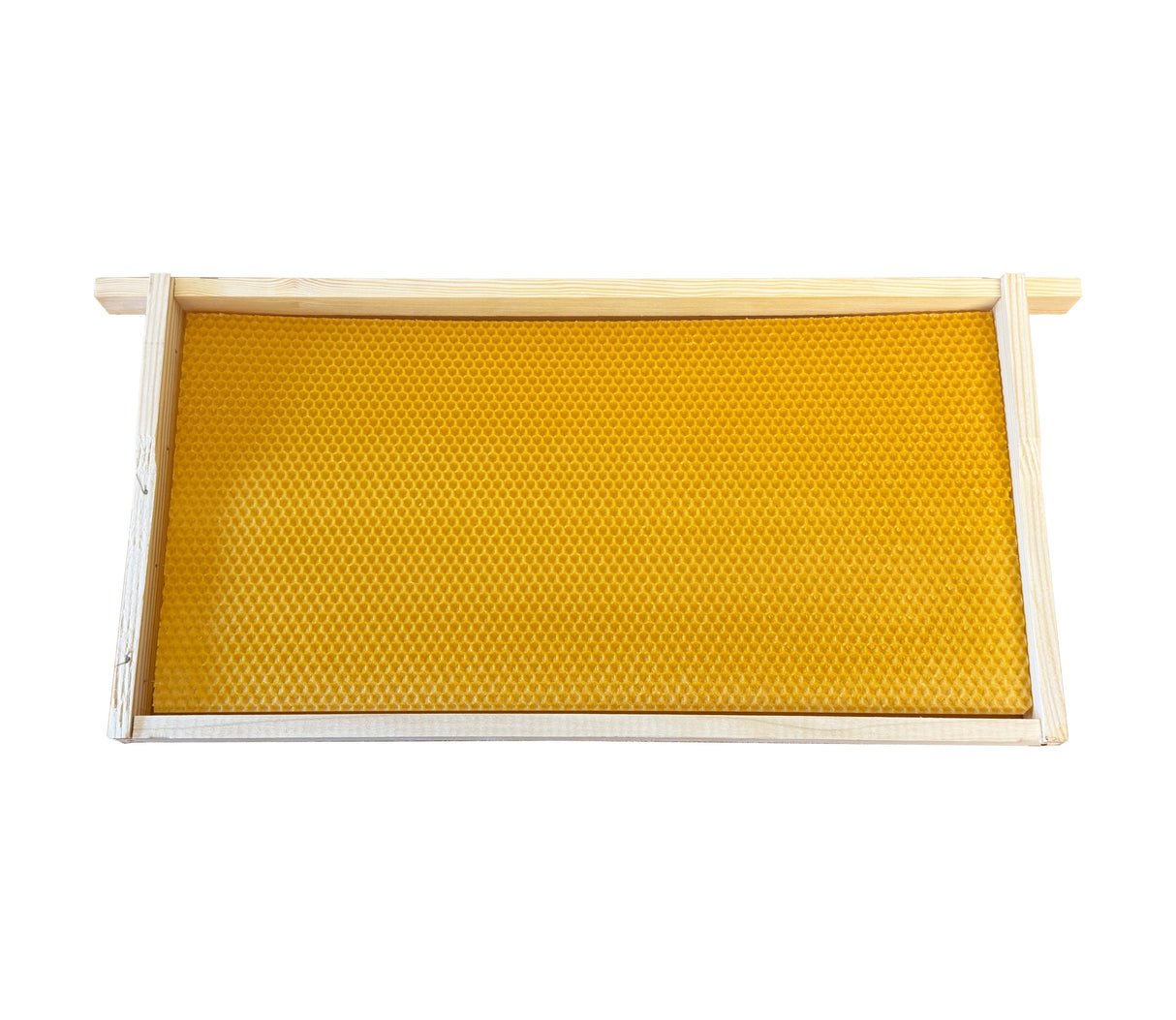 Parois centrales moulées à partir de cire d'abeille pure analysée, sans maladies et sans pesticides