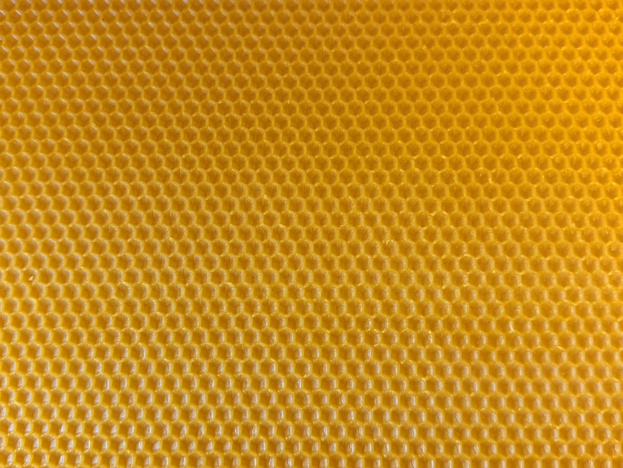 Parois centrales moulées à partir de cire d'abeille pure analysée, sans maladies et sans pesticides