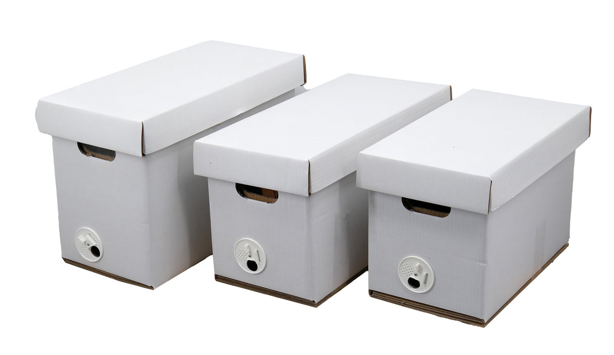 Nucleation and transport box for 5 frames, German Normal, Zander, Dadant, made of waxed corrugated cardboard.