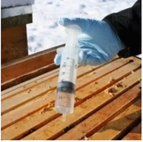 Serumwerk OXAL ACID BERNBURG 40 mg/ml – reliable Varroa treatment for summer and winter