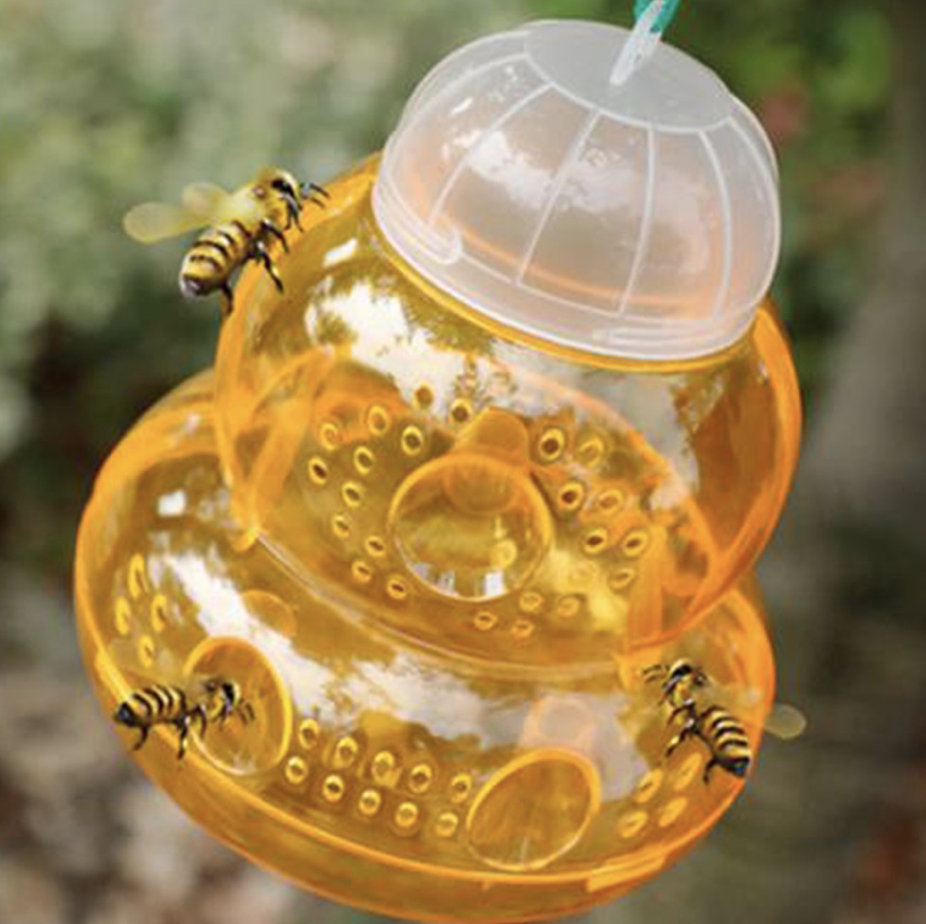 Wespenfangglas Wespenfalle Gelb