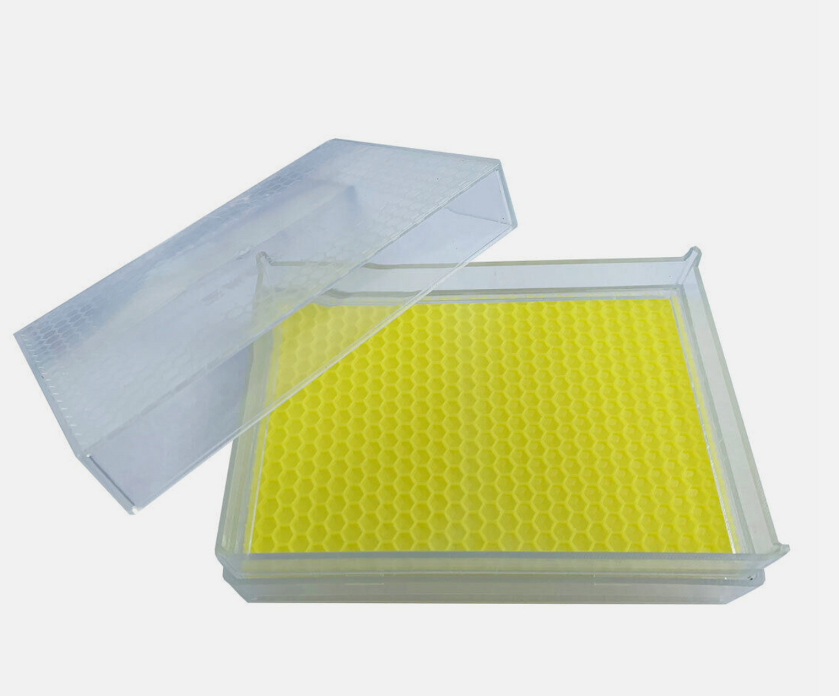 Honeycomb cassette 500g 10 frames for honeycomb Zander Dadant DNM