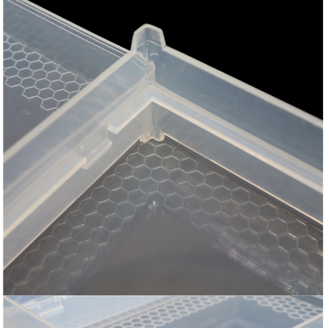 Honeycomb cassette 500g 10 frames for honeycomb Zander Dadant DNM