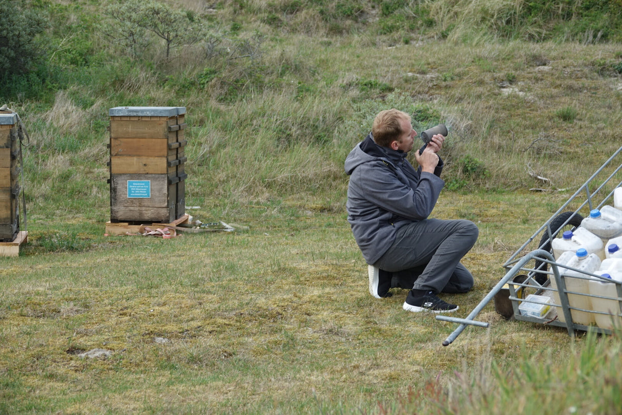 Buckfast Queen Mated F0 2025 Baltrum Island-paringsplaats