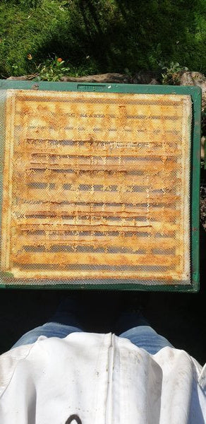 Propolisdoek per meter, flexibel, scheurvast, voedselveilig, voor het verzamelen van propolis