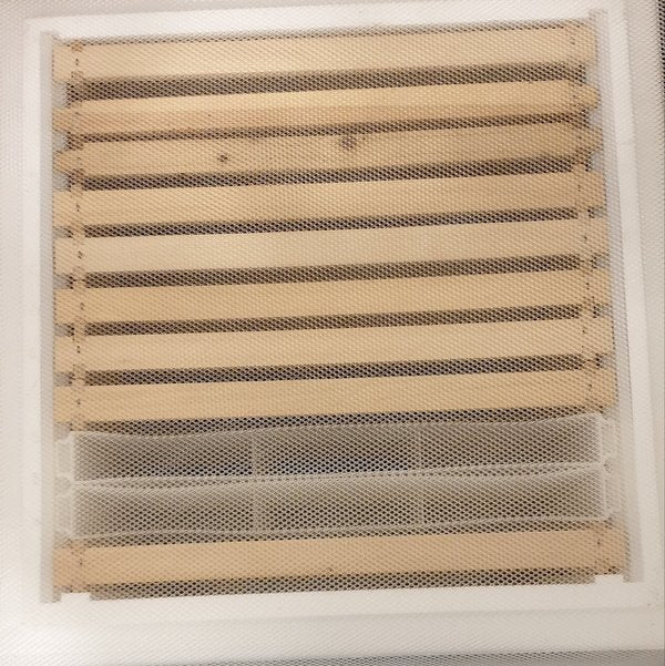 Propolisdoek per meter, flexibel, scheurvast, voedselveilig, voor het verzamelen van propolis