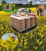 Bienenwagner middenwanden gerold 1 kg was Duits normaal DNM Zander Dadant Mini Plus gecertificeerd